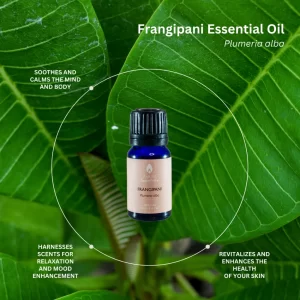 Frangipani | Essential Oil