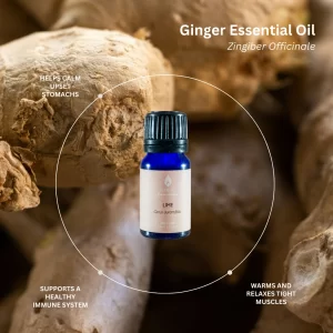 Ginger | Essential Oil