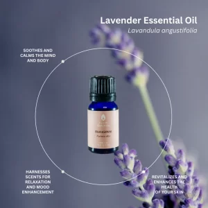 Lavender | Essential Oil